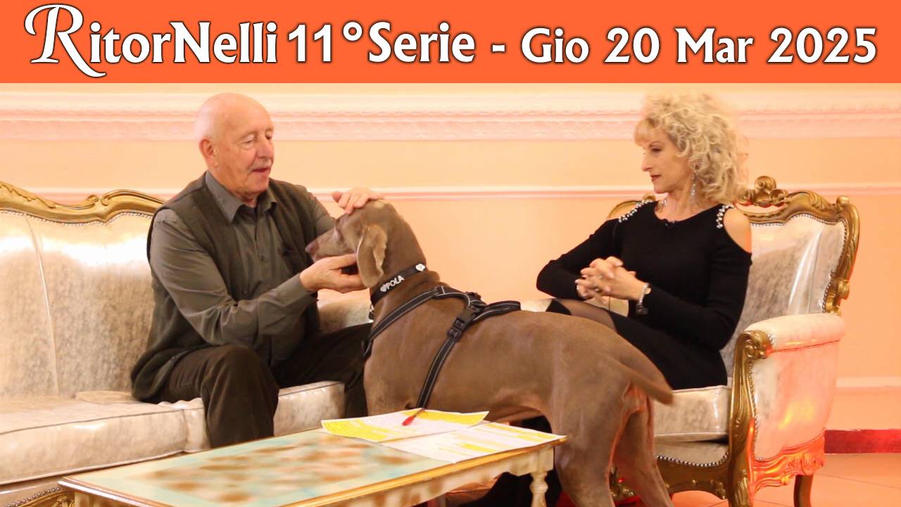 Trasmissione RitorNelli